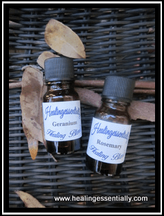 Geranium and Rosemary for Poor Circulation Geranium and Rosemary for Poor Circulation