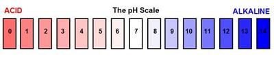 what does the ph scale measure
